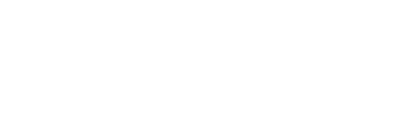 Drivioo